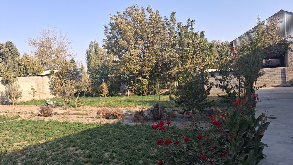 Участок делимый 10 соток