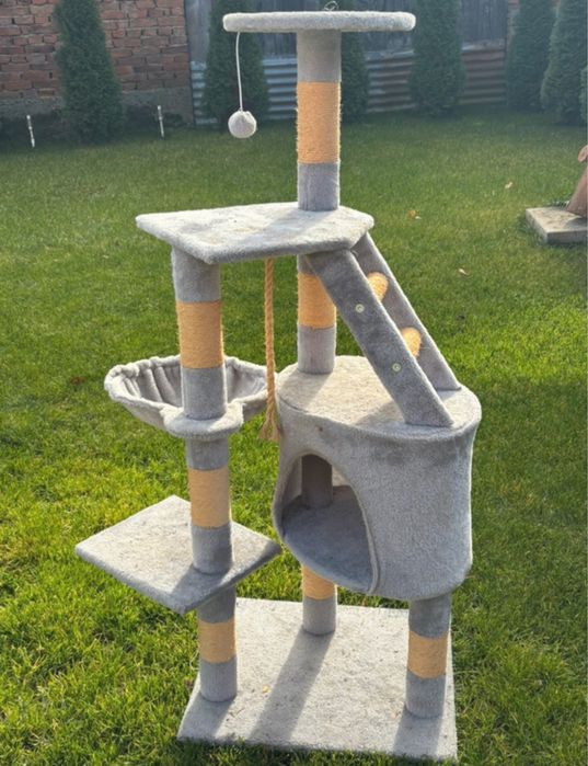 Ansamblu joaca pisici