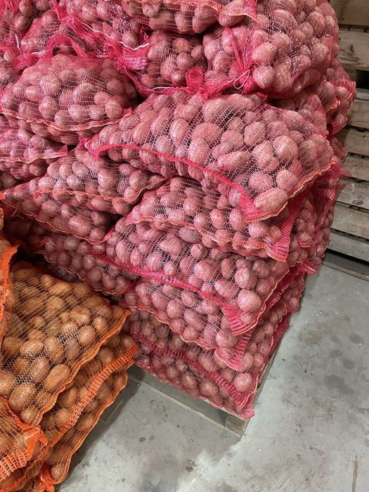 Cartofi vonsum praspat ambalat