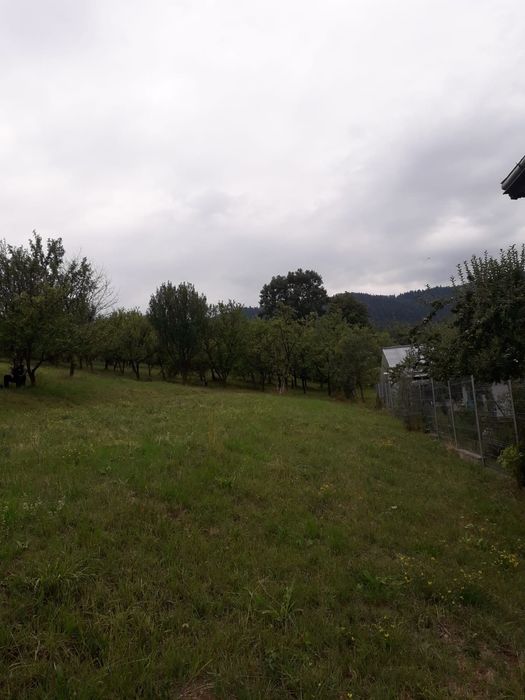 Teren intravilan Varatec, Neamț