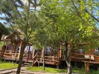 Cabana Forest House de inchiriat, Ciubar, Sauna Locatia Zabala