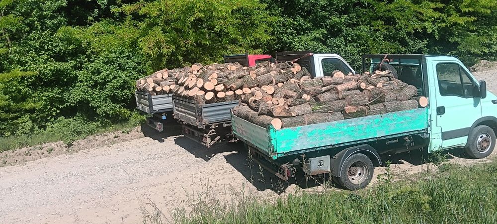 Lemne foc zona MURGENI Bârlad Vaslui