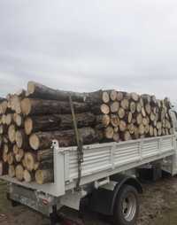 Vând lemne de foc la 250 de lei metru