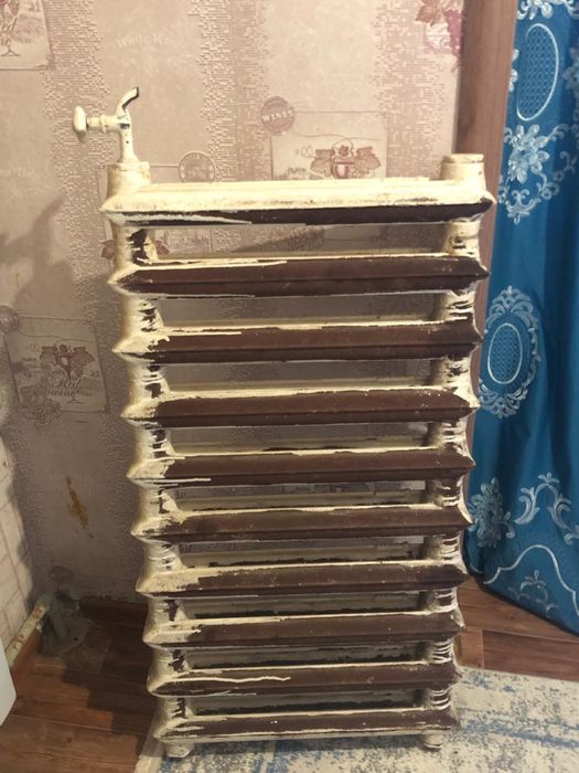 Бетарейка железа