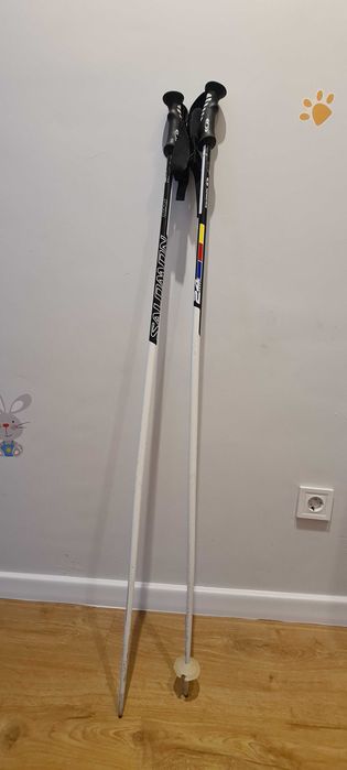 Ски Salomon 24 hours Powerline TI 2