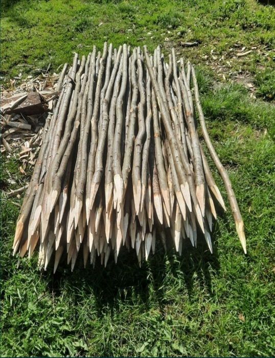 Pari pentru rosii , fasole, gard electric, vie