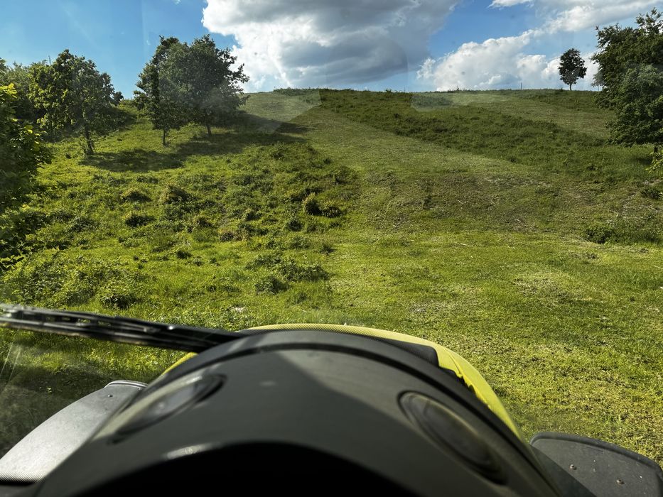 Defrisari si intretinere spati verzi