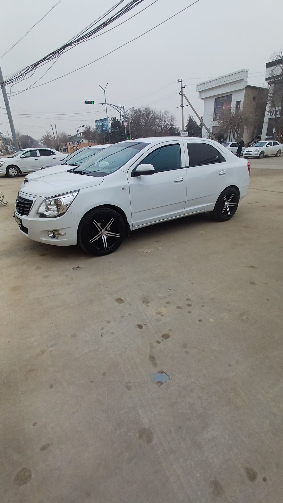 Vossen 17 Cobiltga pramoy tushadi 8 ming klm yurgan