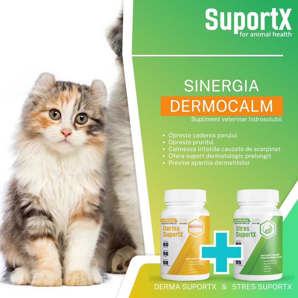 Derma SuportX supliment veterinar dermatologic pentru caini si pisici