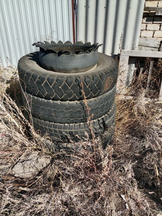 Отдам даром колеса
