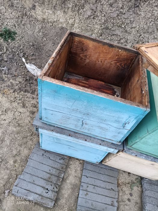 Stupi 12 rame albine