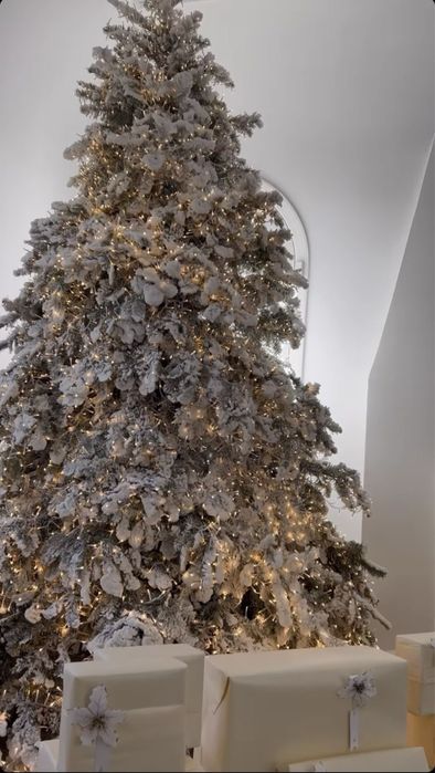 Заснеженная елка с шишками