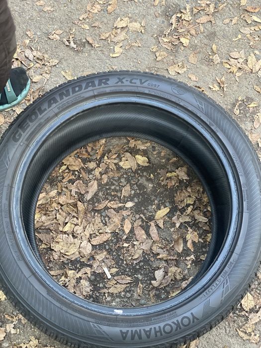 Летняя резина Yokohama