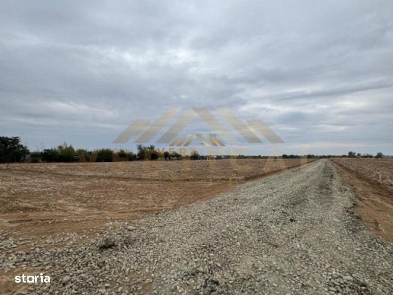 Teren Intravilan 500 mp, comuna Vidra