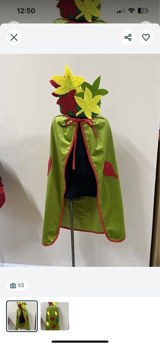 Осенний костюм (корона т плащ)