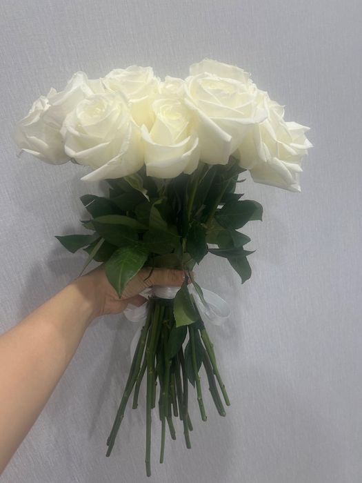 Продам 25 белых свежих роз