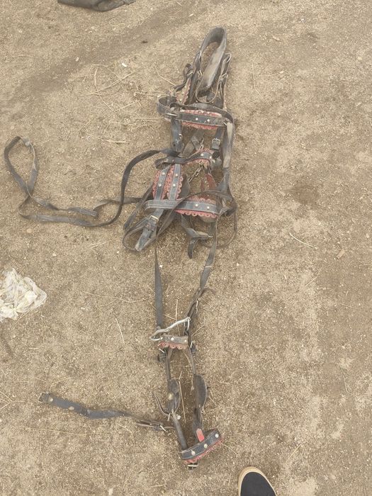 Se vinde ham complect de ponei este folosit de doua ori arata foarte b