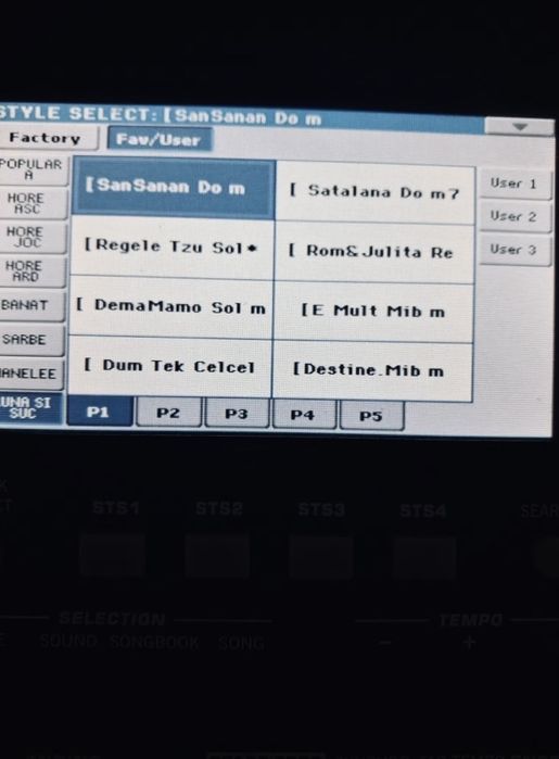 Vand sau schimb orga pa300