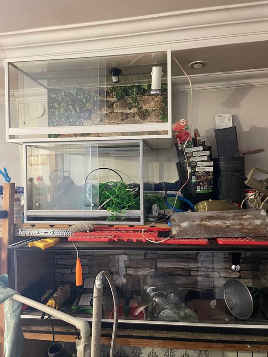 Террариум Продам для рептилий