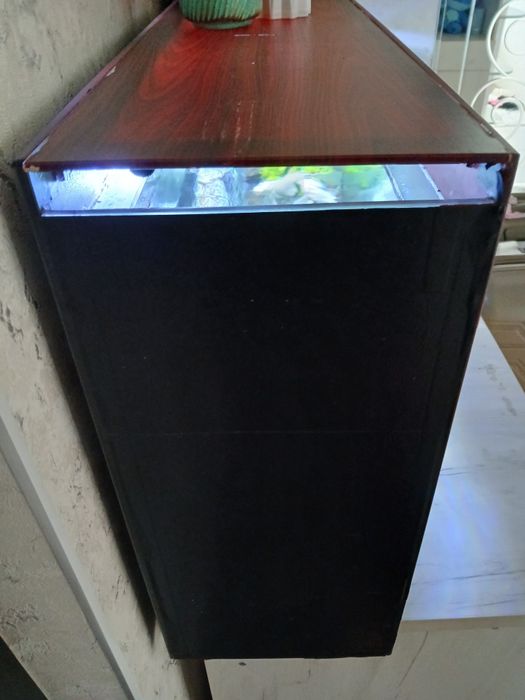Аквариум 120л в идеале