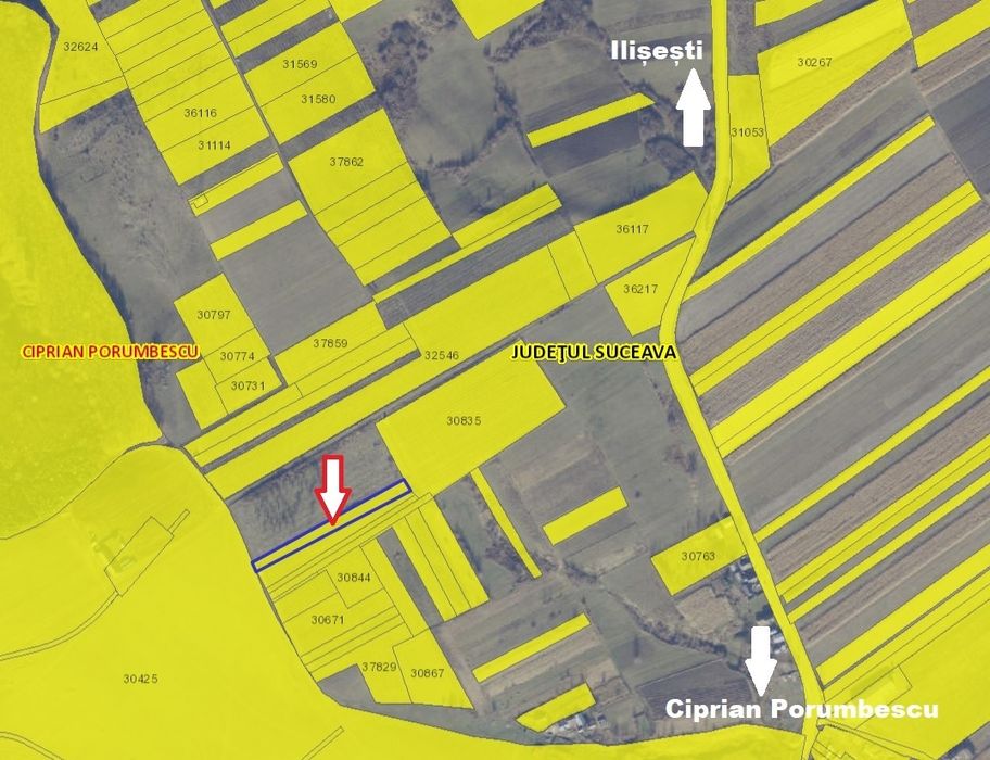 Livada mixtă 2600 mp cu foișor și fântână- Ciprian Porumbescu