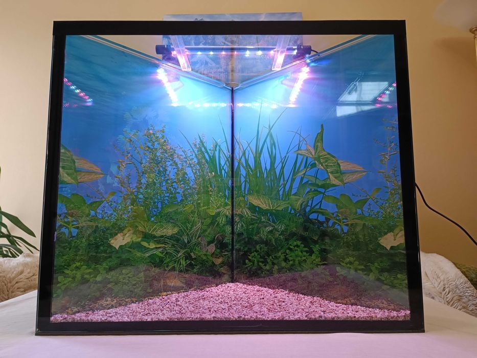 Аквариум за рибки ъглов