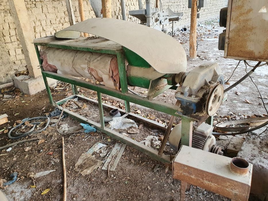 Чилипитца станог