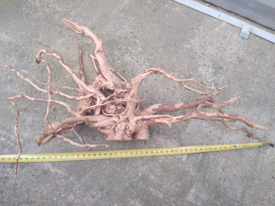 Lemne red moor acvariu(decor)