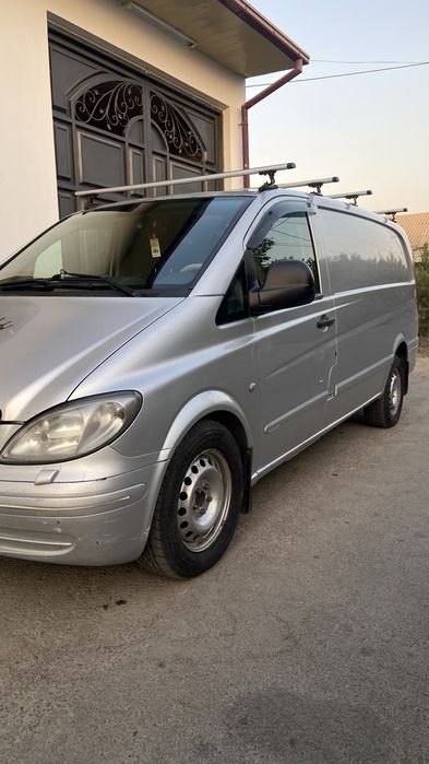 Mersides vito. .