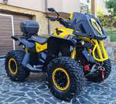atv can am renegade G2