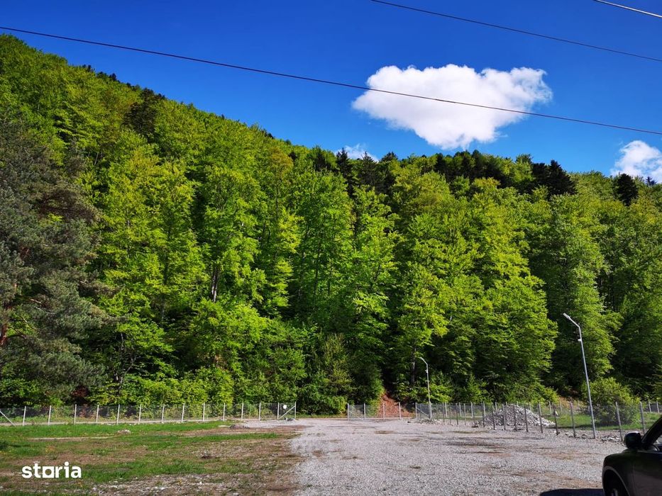 Teren rezidential Bunloc zona de case