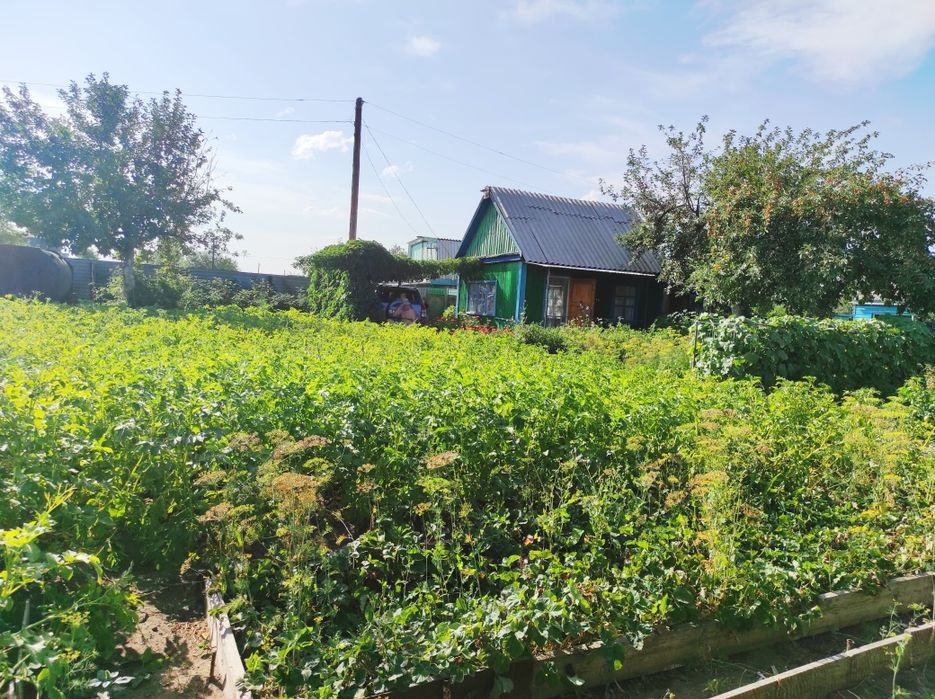 Дача в сообществе РОМАШКА (Сортировка)