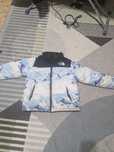 Geaca the north face