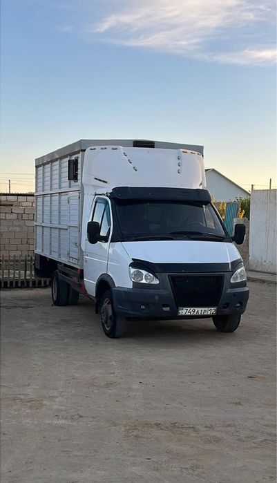 Газель арты мал тасуға жасалған