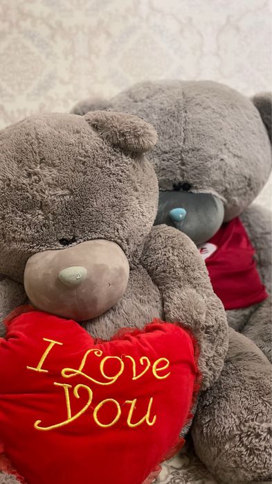 Teddiy yumshoq o'yinchoq