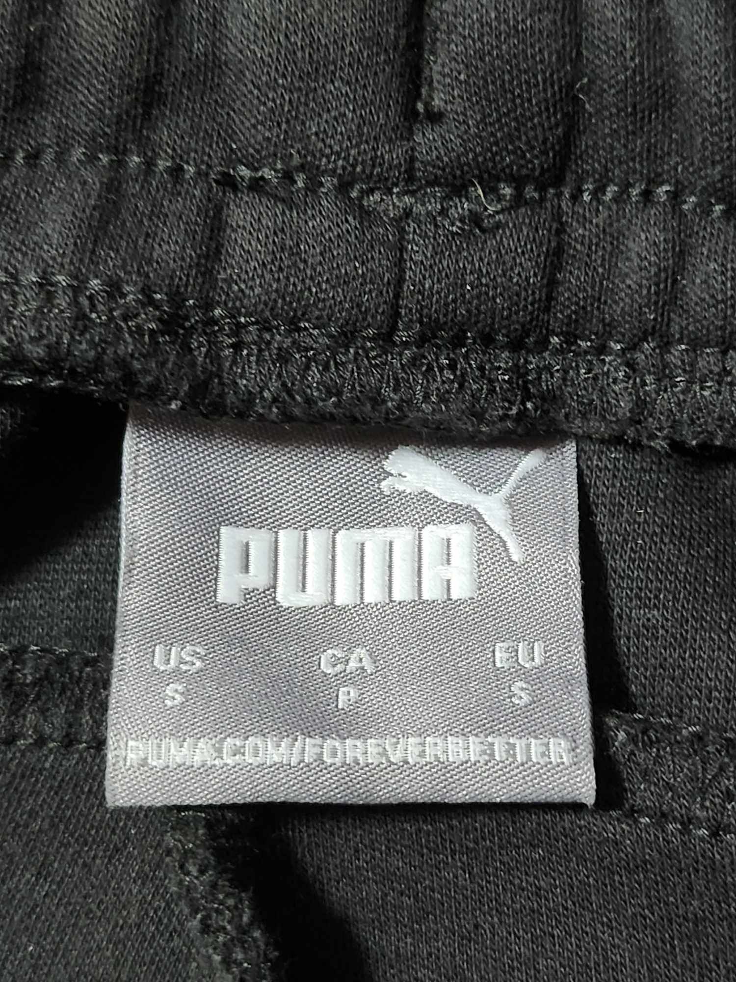 Paltaluni Puma S