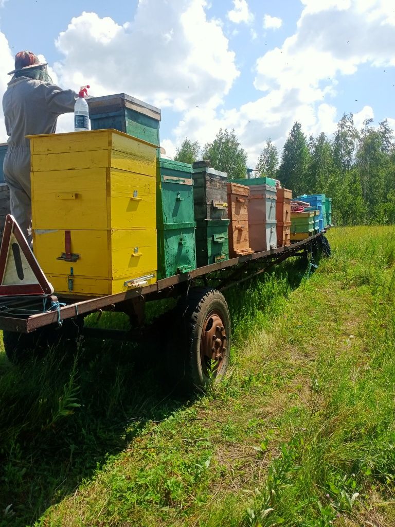 Продам пчелоприцеп