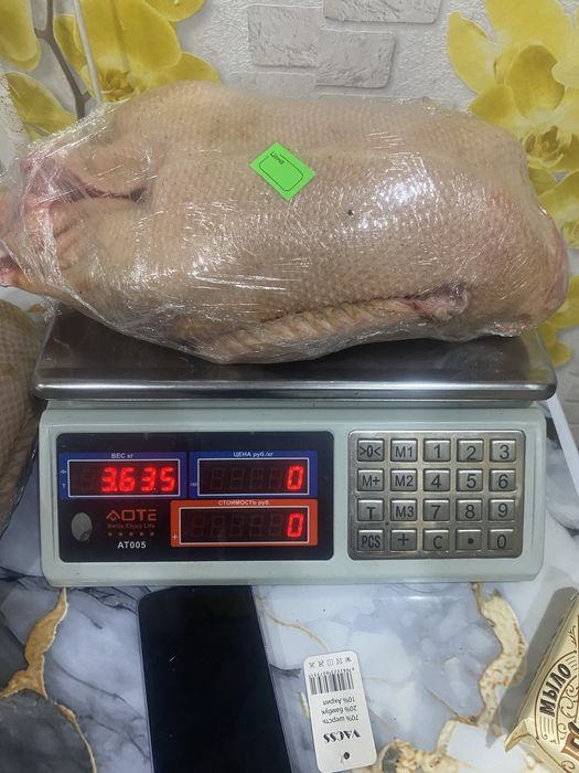 Продам домашнее свежее мясо гусей