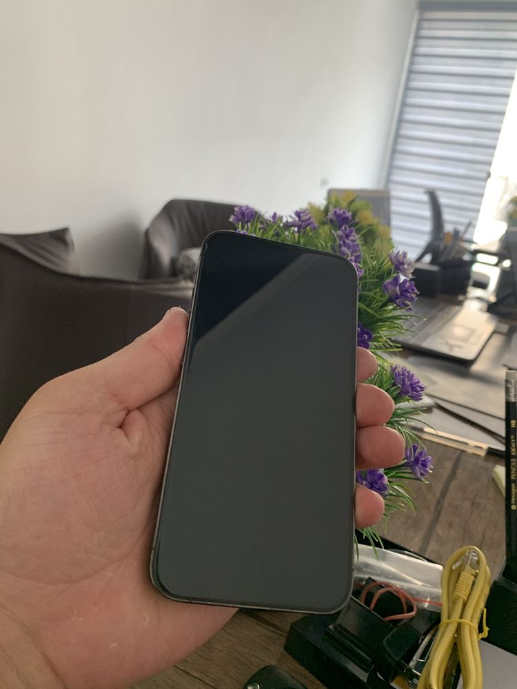 iPhone 13 Pro ( Graphite )