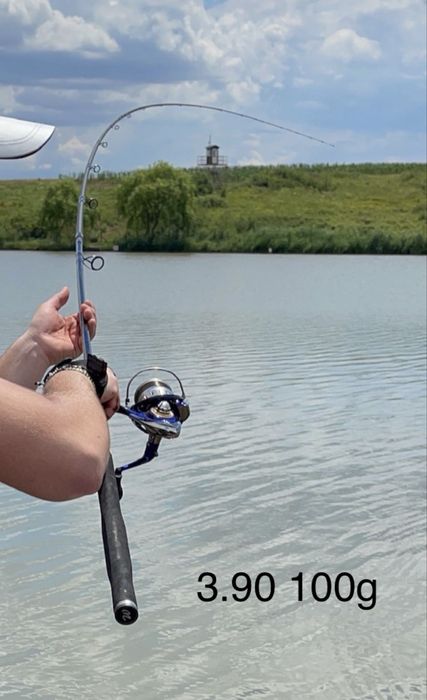 Lansetă Serie Walter Racer PQ 3.90m / 100g