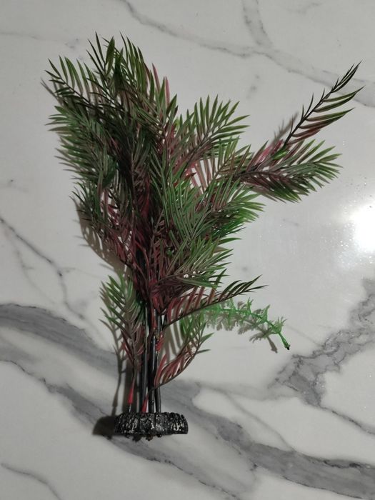 Akvarium uchun aksesuarlar sotiladi