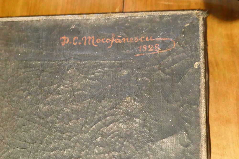 Ulei pe Panza Copil Mic Pictor D. C. Mocofanescu 1928 55/35cm