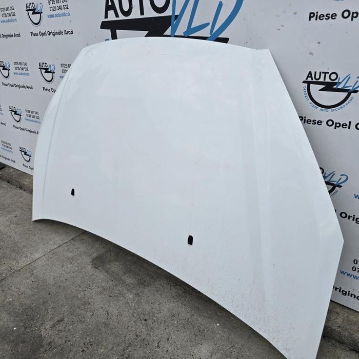 Capota motor Ford Focus DAW, DBW