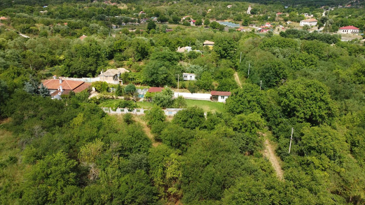 Продава се Парцел в с. Щипско, Област Варна - 3186 кв.м за 5 €/кв.м - Снимка #7