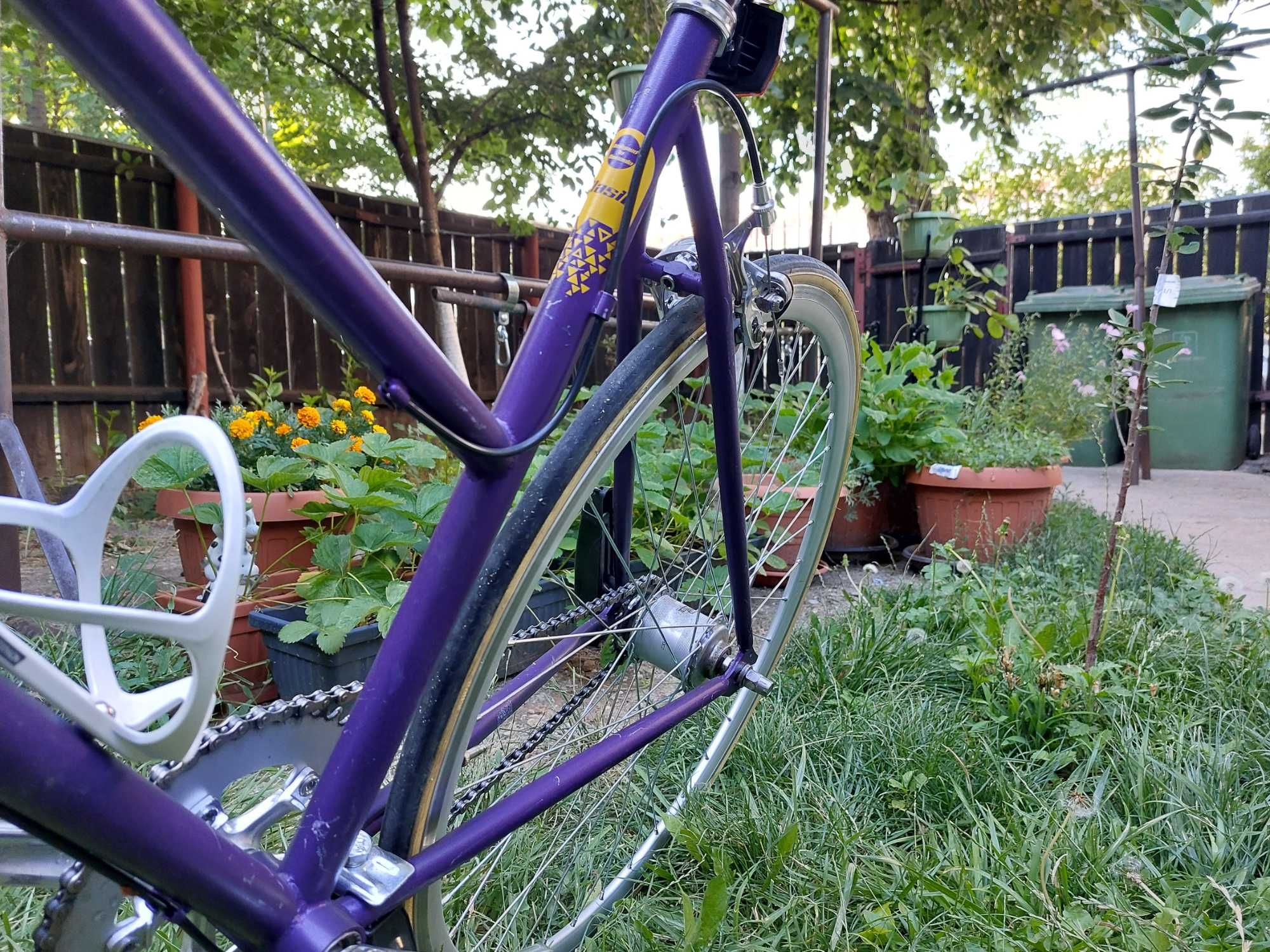 Pachet biciclete pegas - Dama si copil - City Clasic Mov si Drumet 20