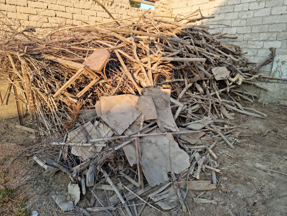 Утин Сотилади Кунда Шохлар