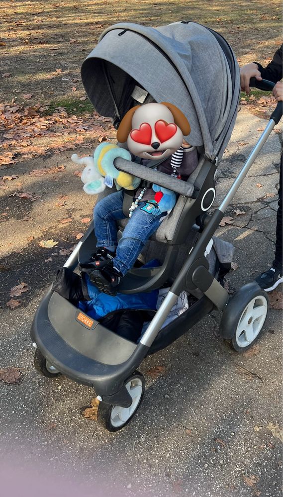 Stokke Crusi в добро състояние