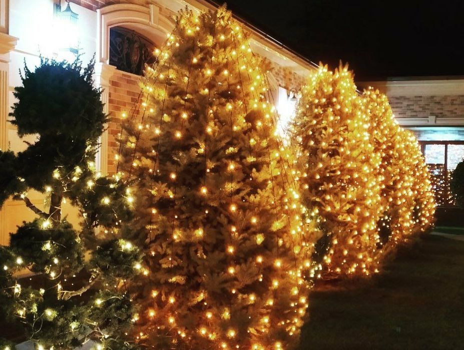 Оформление зданий