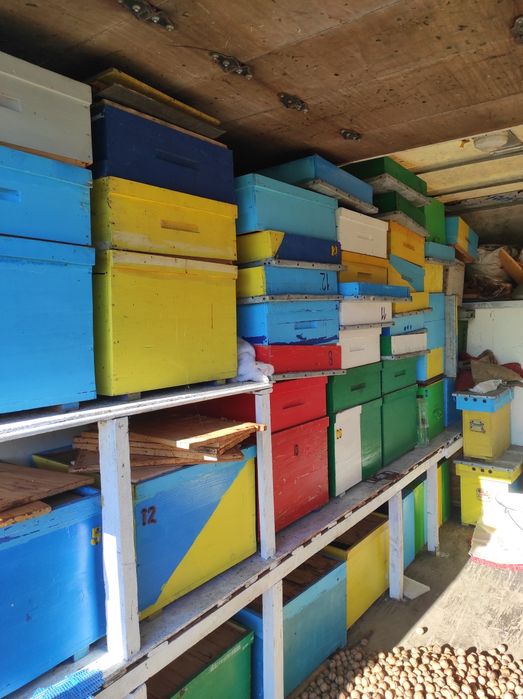 Cutii stupi de 12 rame cu caturi 1/2  ,au fost folosite un singur an.