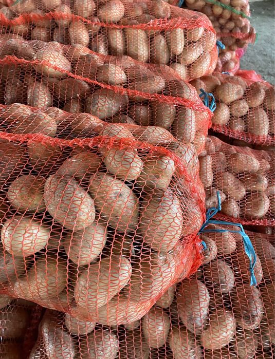 Cartofii consum roșu și alb